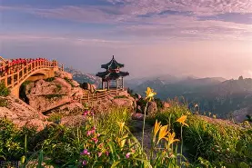 开云线上官网- 山东泰山窗口期造点机会转会期莱比锡临场应变，里昂窗口期调整名单看傻球迷